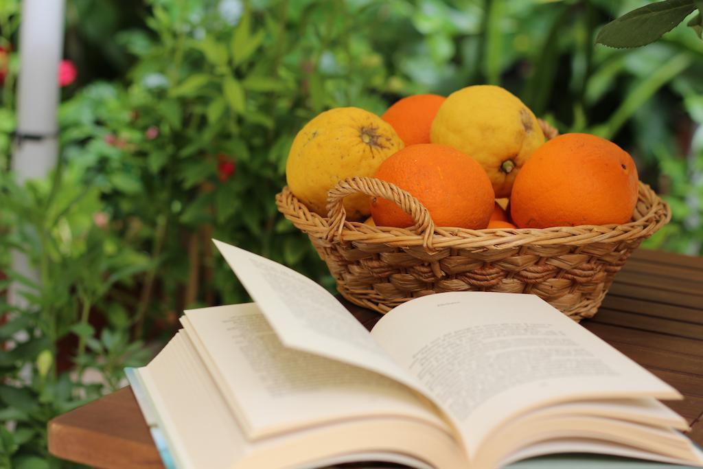 مبيت وإفطار كوارتوتشو Fiori E Limoni المظهر الخارجي الصورة