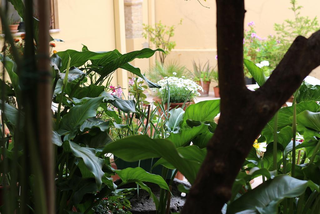مبيت وإفطار كوارتوتشو Fiori E Limoni المظهر الخارجي الصورة